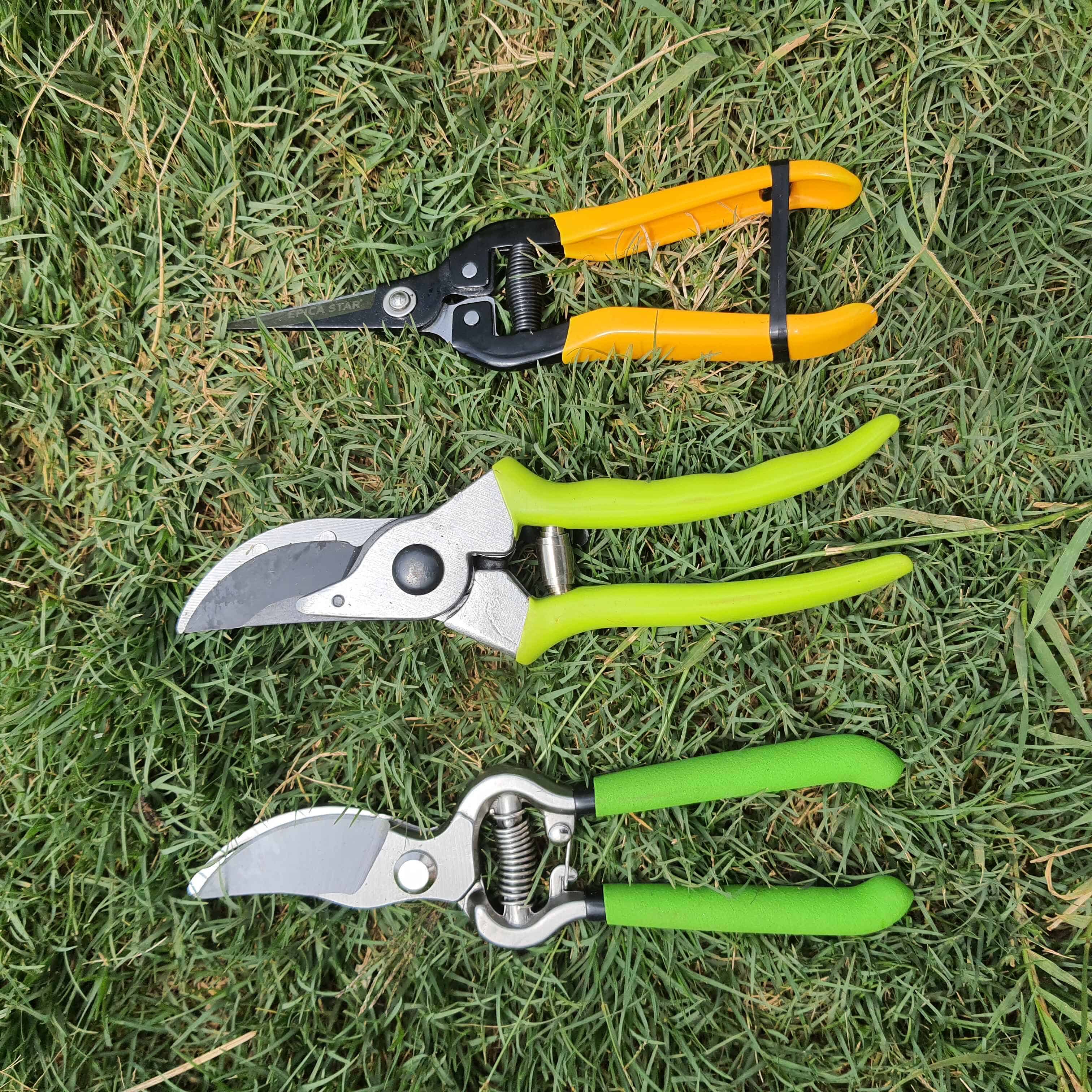 PAN Heavy Duty Pruning Shears